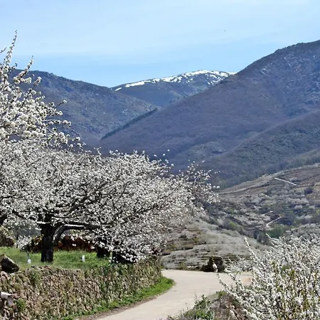 El Carpintero Country house *