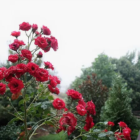 El Carpintero 컨트리하우스