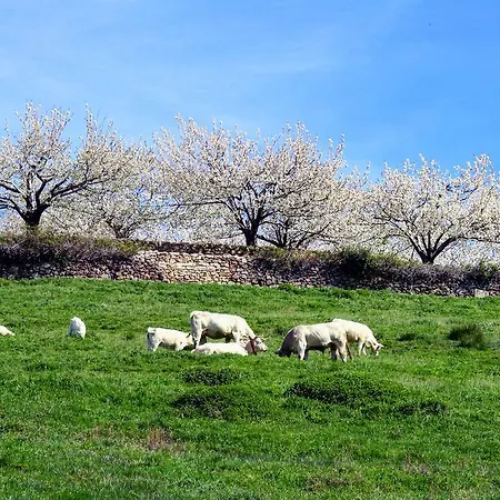 El Carpintero Country house *