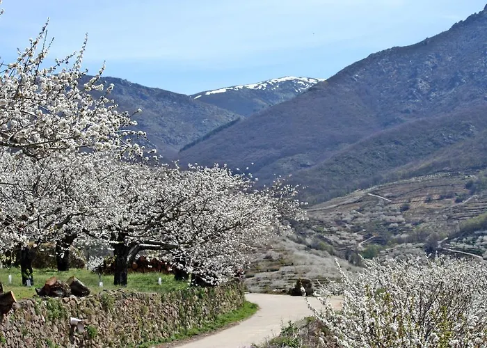 El Carpintero Casa rural *