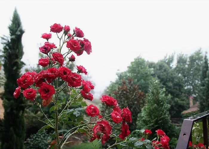 El Carpintero Country house