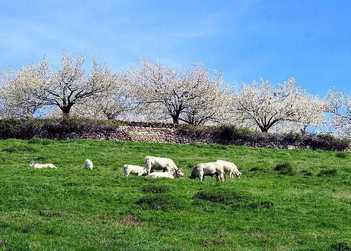 El Carpintero Casa rural *